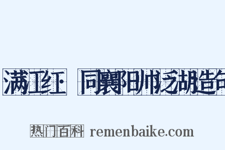 满江红·同襄阳帅泛湖造句是什么意思的图片